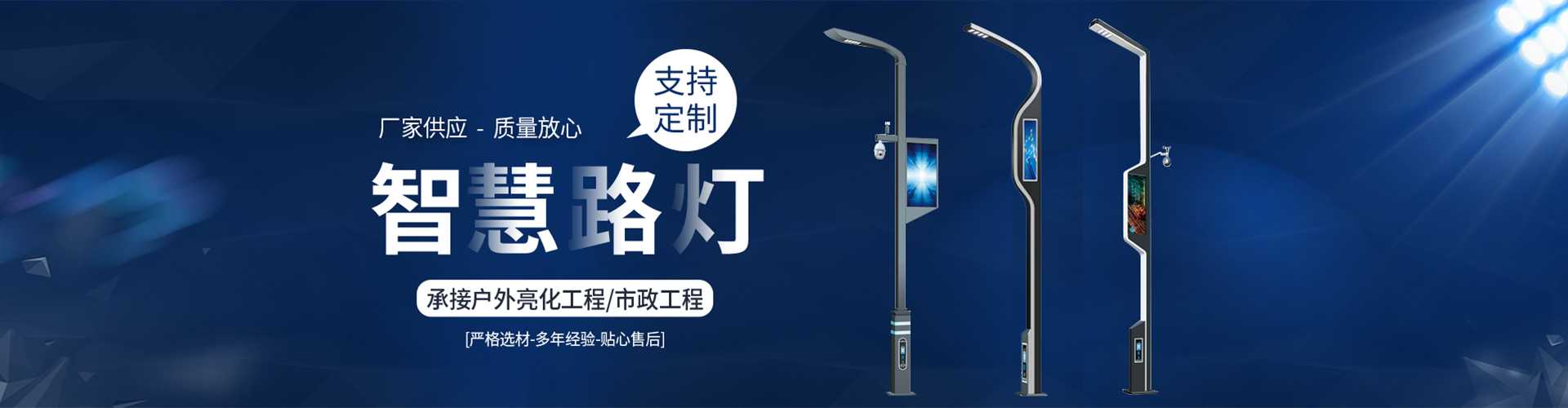 芦淞区太阳能路灯定制厂家