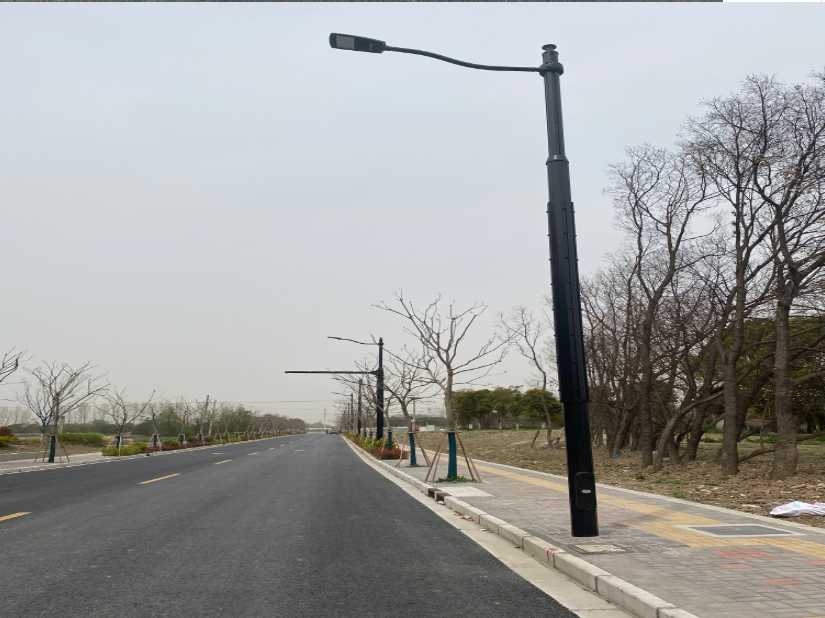 芦淞区上海综合杆 太阳能路灯工程
